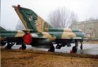_papa_040203_ag_050_mig_21_43_small.jpg